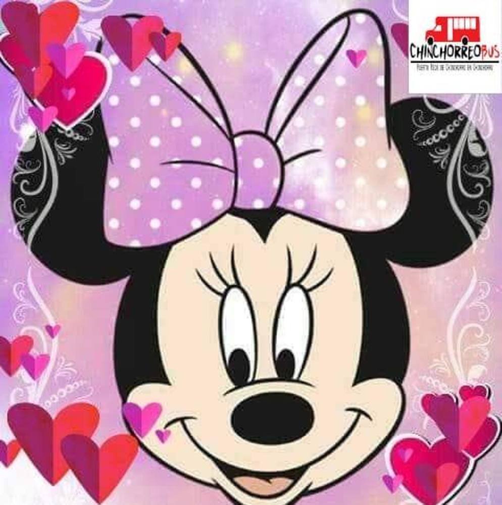 Meet your Posher, Alice